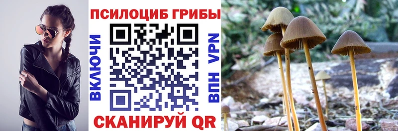 продажа наркотиков  Шебекино  Галлюциногенные грибы прущие грибы 