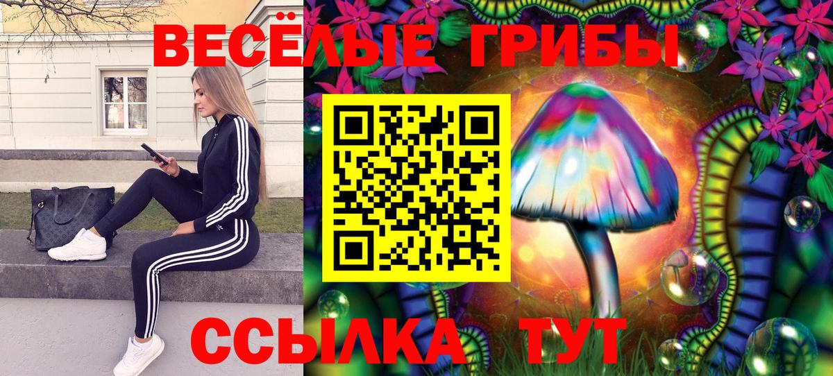 Шебекино  Псилоцибиновые грибы Psilocybe  Вход с VPN 