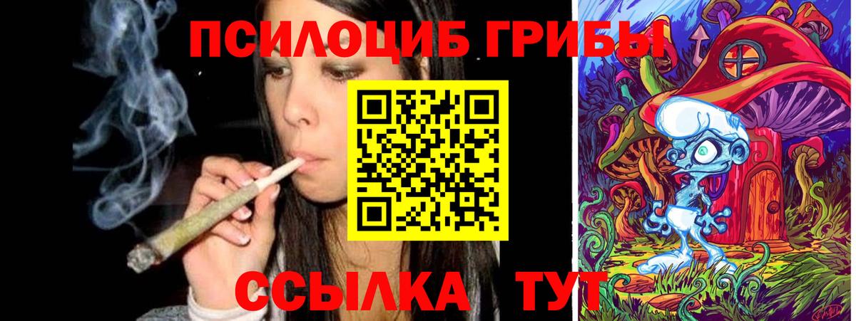 Псилоцибиновые грибы Psilocybe Шебекино