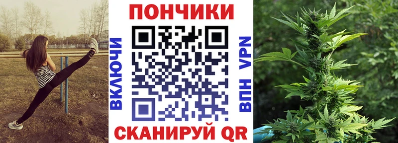продажа наркотиков  Шебекино  Бошки Шишки индика 
